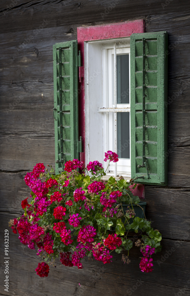 Blumen vor dem Fenster, Steiermark, Österreich