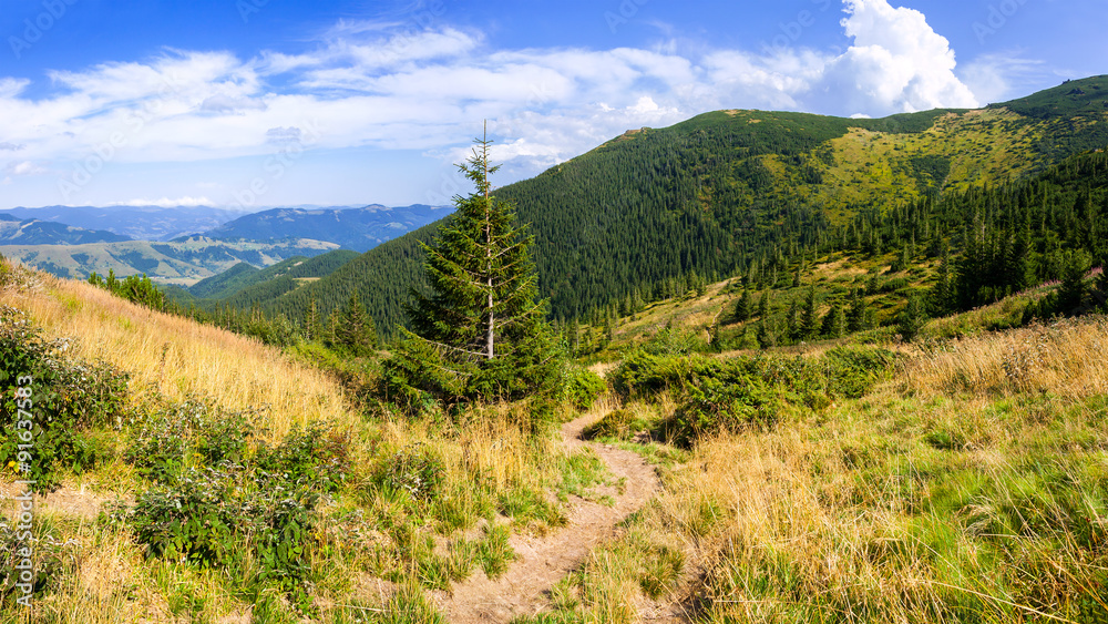 The road in the Carpathians The road in the Carpathians