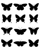 Black silhouettes of butterflies, vector