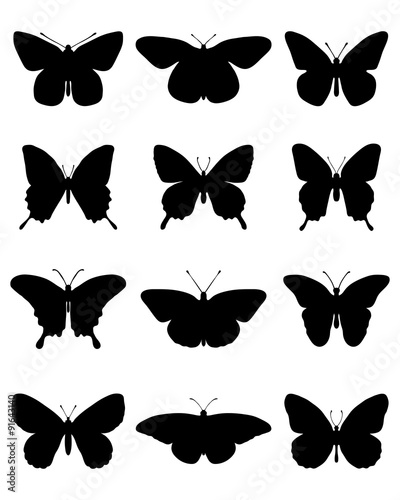 Black silhouettes of butterflies, vector