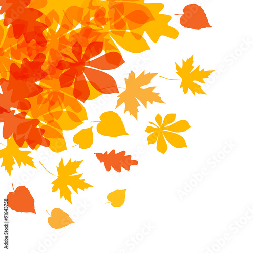 Vector of autumn yellow orange leaves on a white background.