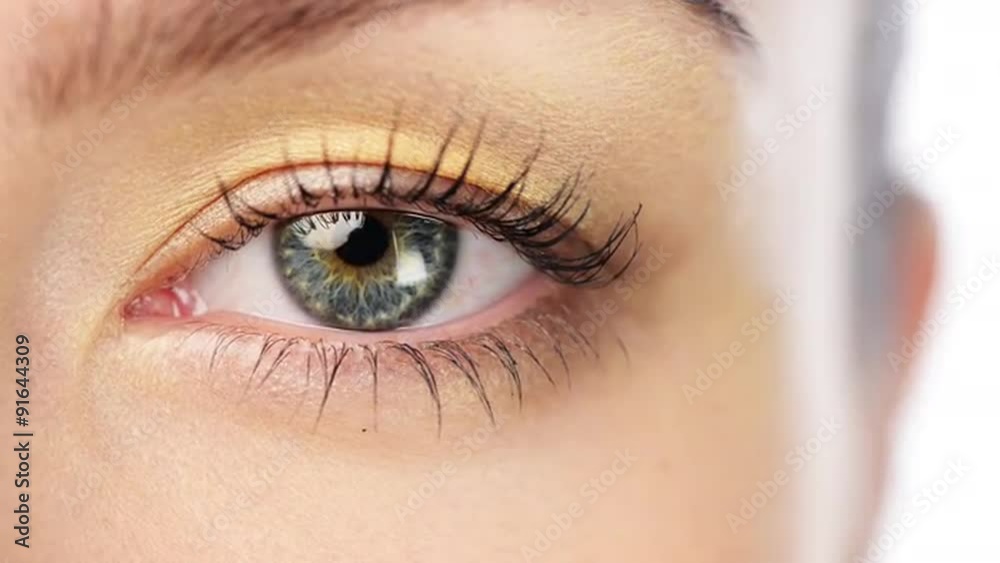 close up eye character series isolated on pure white background close up eye character series isolated on pure white background