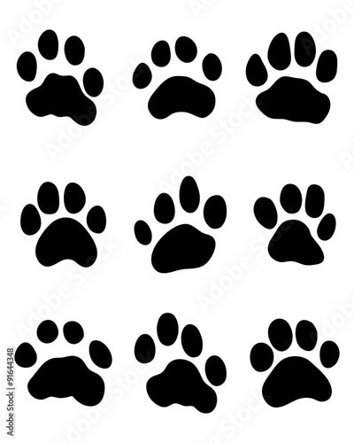 Black print of tiger paw, vector illustration