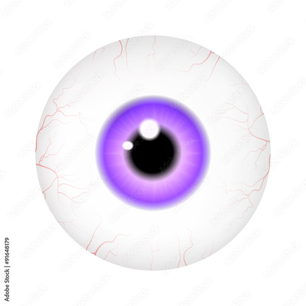 Image Of Realistic Human Eye Ball With Colorful Pupil Iris Vector Illustration Isolated On 1617