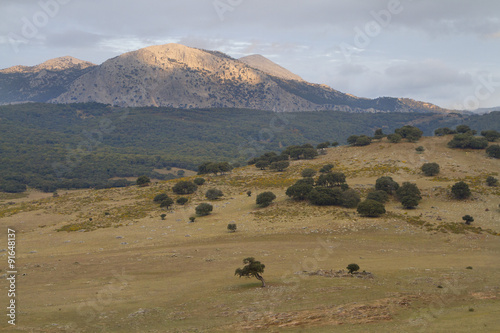Prado de montaña en el Parque Natural Sierra de Grazalema, en Cádiz, España. También llamado Llanos del Republicano.
