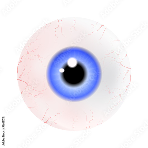 Image of realistic human eye ball with colorful pupil, iris. Vector illustration isolated on white background.