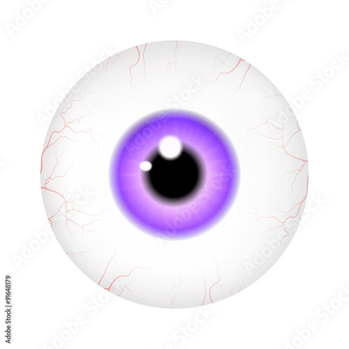 Image of realistic human eye ball with colorful pupil, iris. Vector illustration isolated on white background.