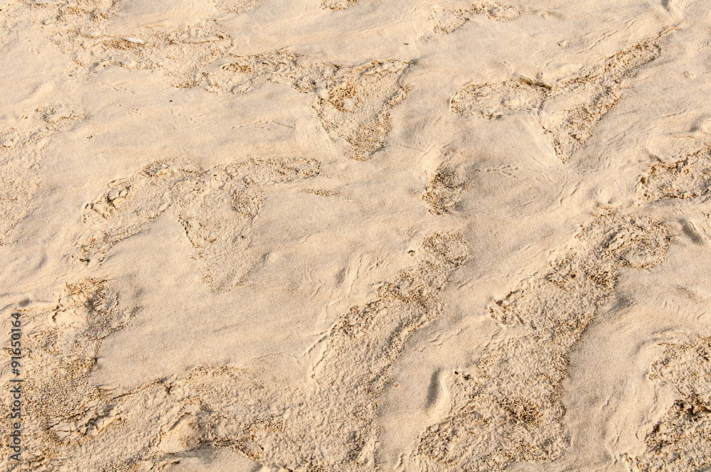 texture of wet sand texture of wet sand