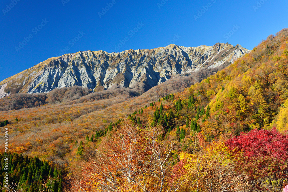 鍵掛峠からの紅葉した大山の南壁
