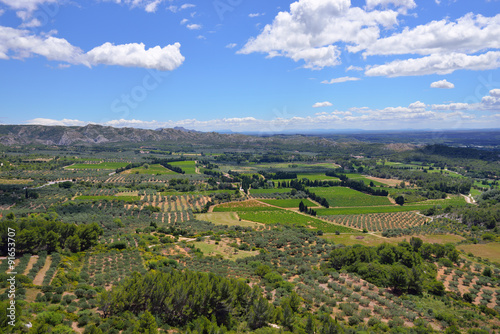 Fototapeta Naklejka Na Ścianę i Meble -  Provence landscape