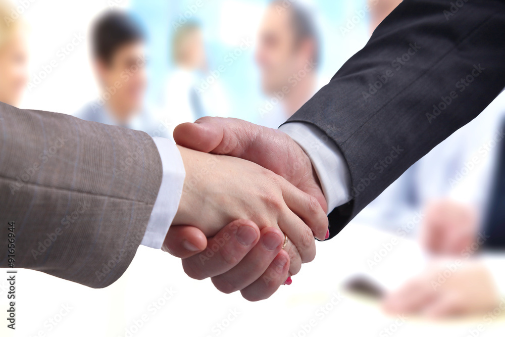 Business handshake. Two businessman shaking hands with each Business handshake. Two businessman shaking hands with each