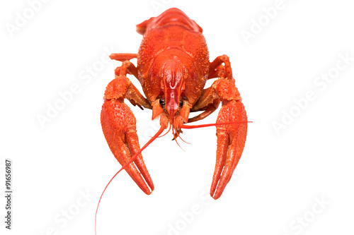 Photo of boiled crayfish