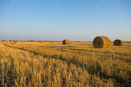 Rural landscape with straw rolls
