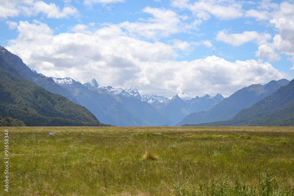 Fototapeta premium VALLEY NEW ZEALAND 