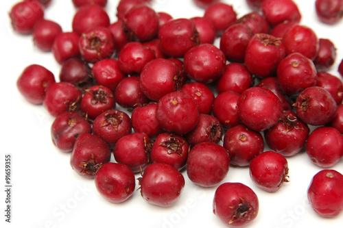 Cranberry