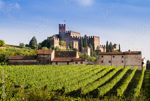 View of Soave (Italy) and its famous medieval castle