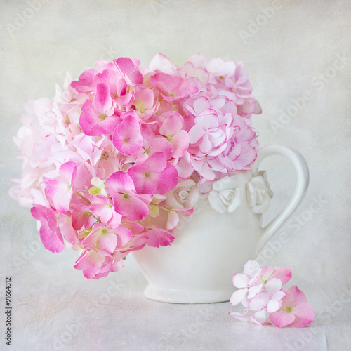 Beautiful pink hydrangea flowers close-up in a ceramic jug on a light background. 