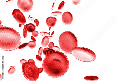 Red Blood Cells