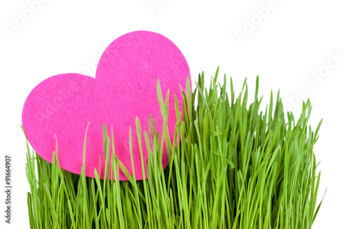 Love card decorated with heart on green grass