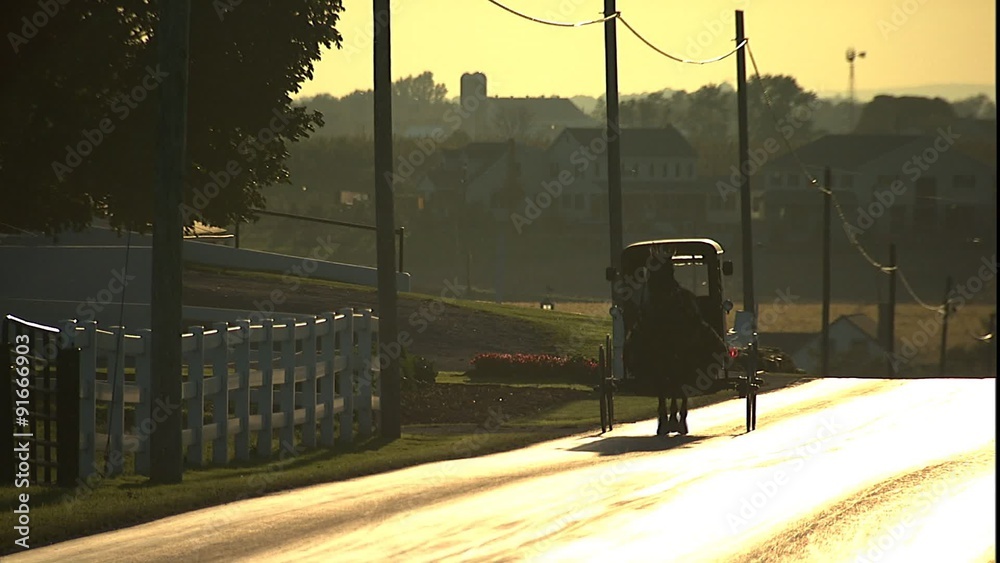 Amish horse and buggy traveling on road 