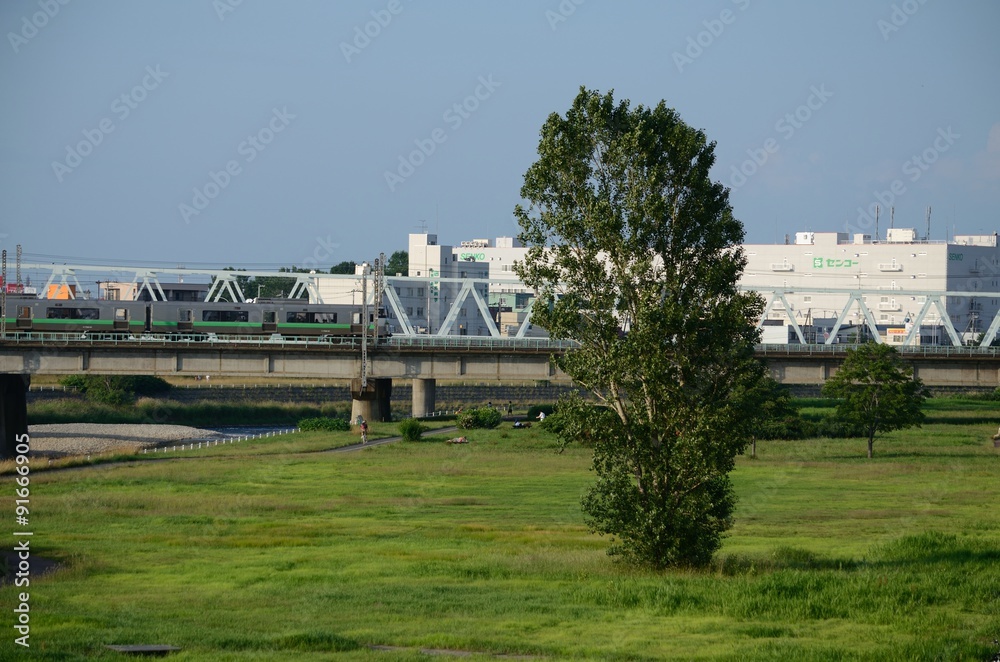 電車と川辺の風景