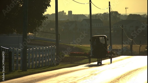 Amish horse and buggy traveling on road 