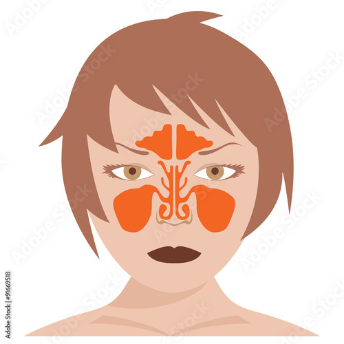 vector image of nasal and frontal sinus.