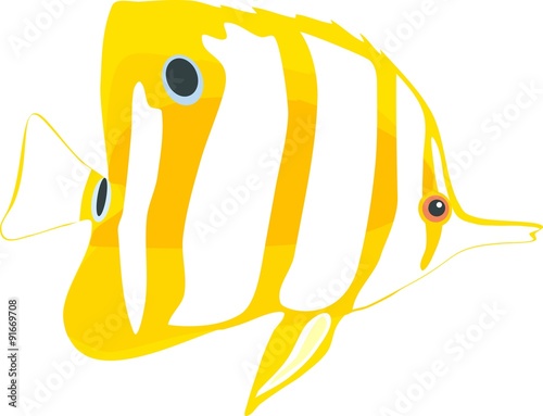 Copperband butterflyfish