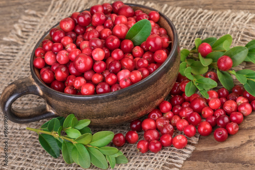 Lingonberries Rustic Still Life
