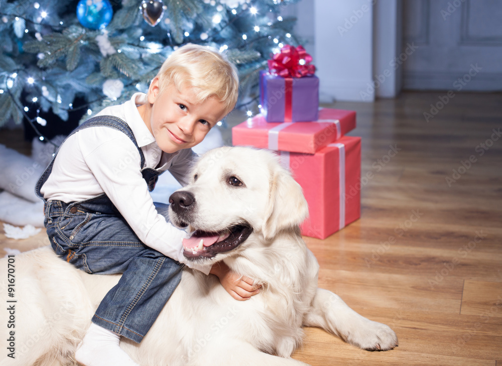 Pretty small child is playing with pet in New Year Pretty small child is playing with pet in New Year