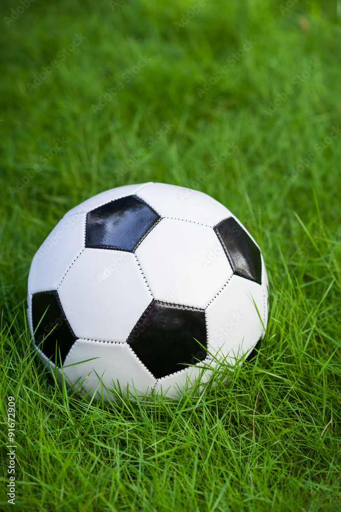 Soccer ball on grass