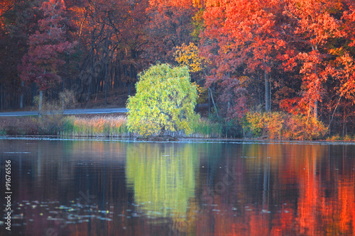 Autumn tree reflections in the lake