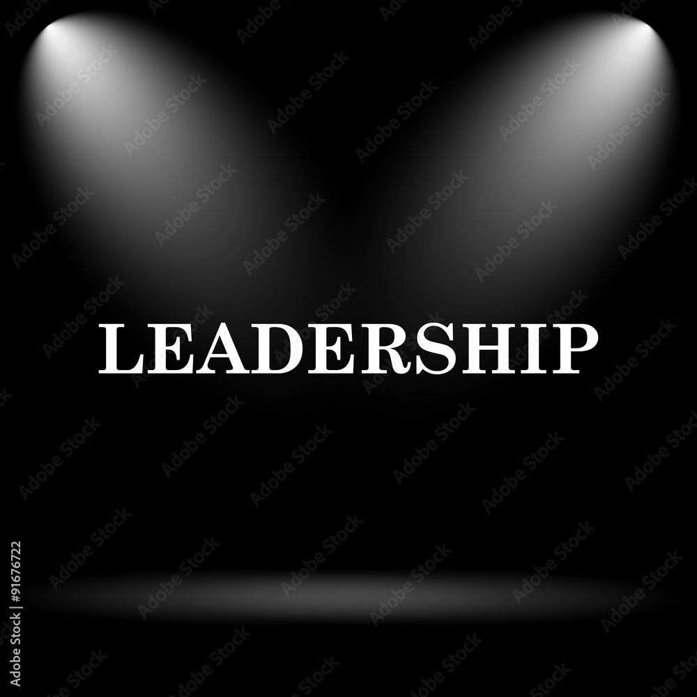 Leadership icon Leadership icon