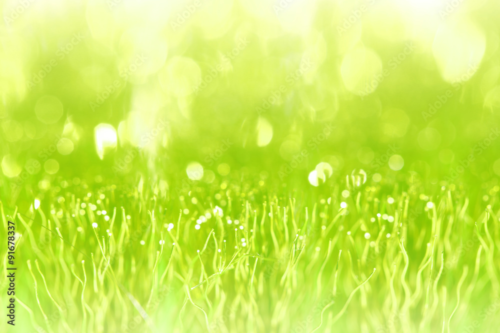 Fototapeta premium green bokeh abstract background