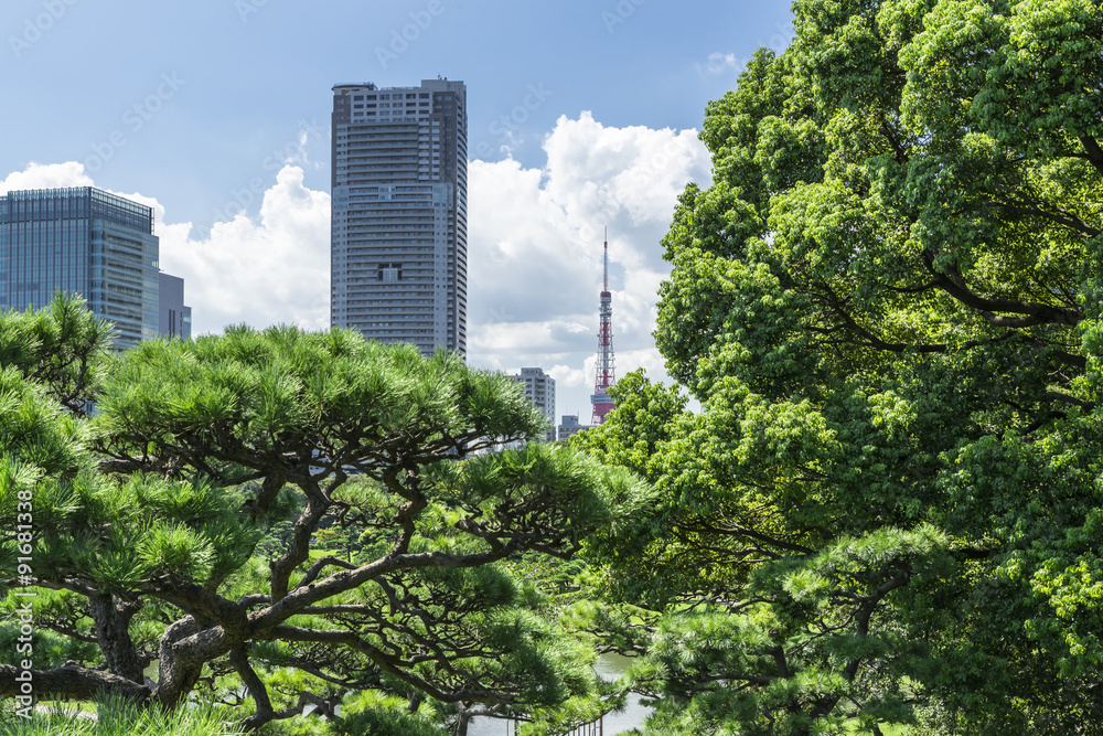 浜離宮恩賜庭園の新樋の口山から望む東京タワー