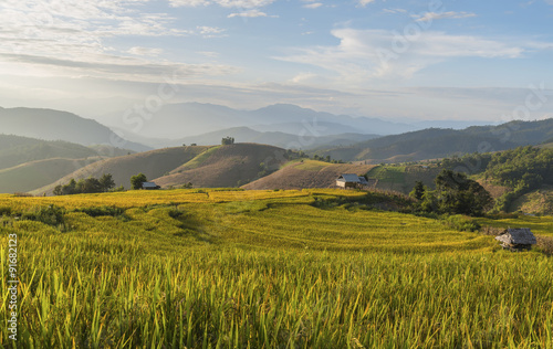 Sunset with rice terrace in Chiang Mai  Thailand