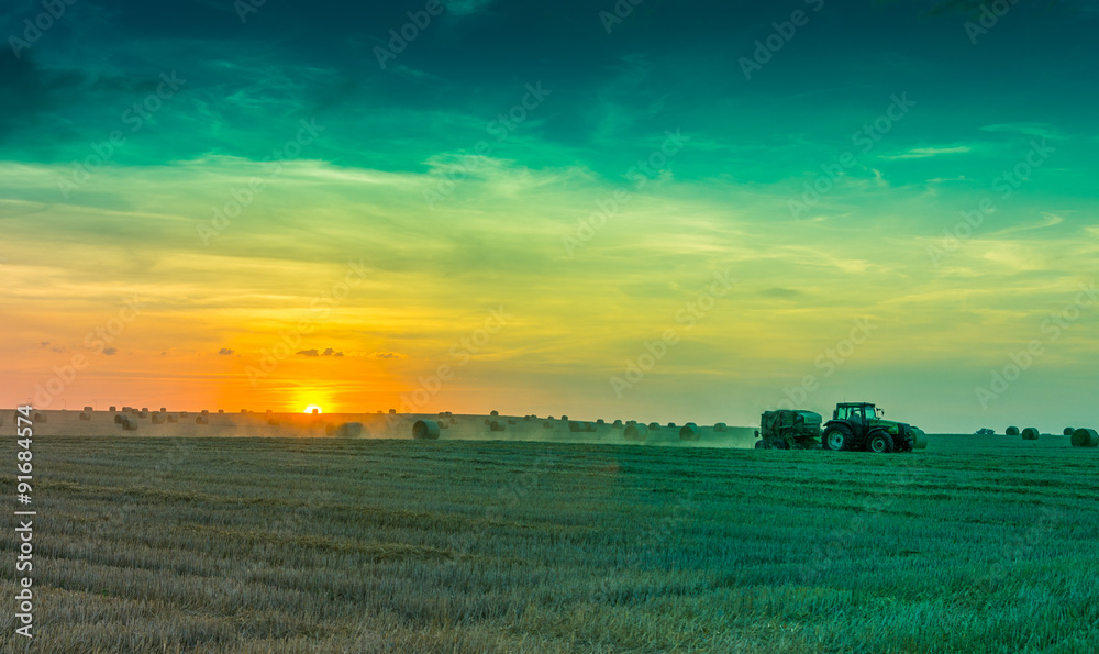 Fototapeta premium fields and meadows during sunset