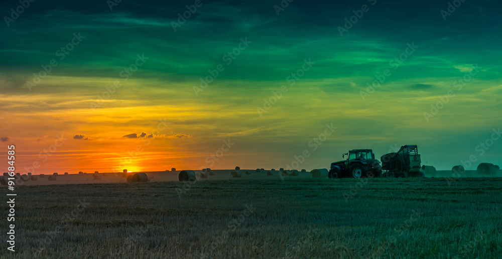 Fototapeta premium fields and meadows during sunset