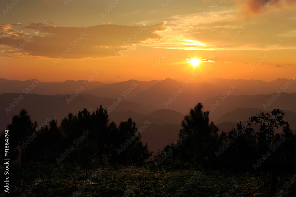 Landscpae of sunset at Pine forest, Thailand