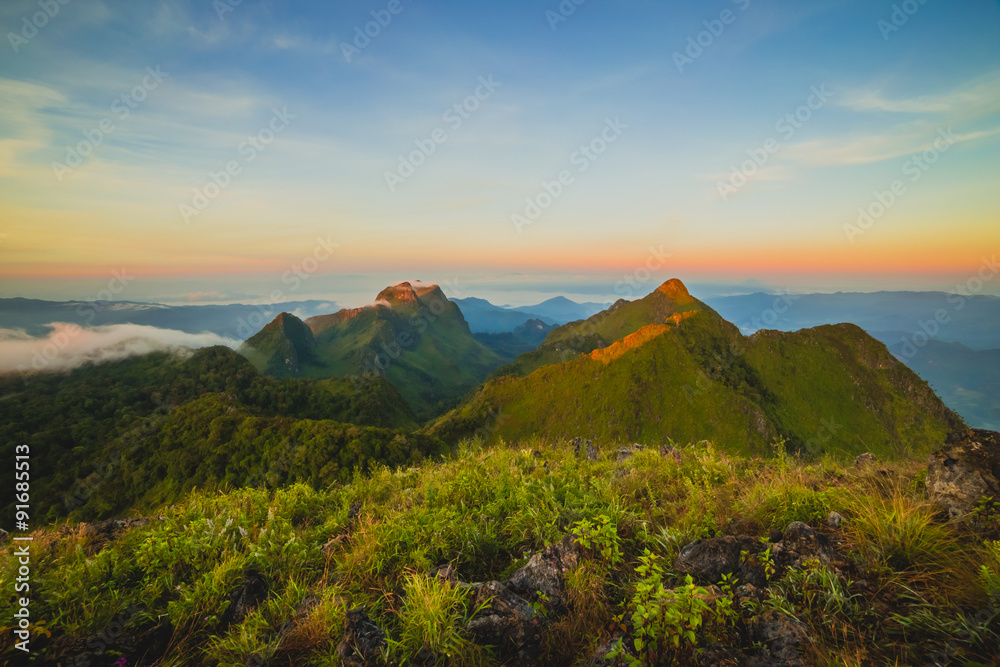 Obraz premium Summer landscape in the mountains