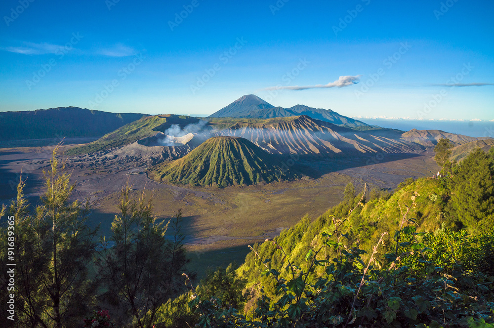 Bromo volcano at sunrise,Tengger Semeru National Park, East Java, Indonesia with beautiful flower as foreground. View from Penanjakan 2