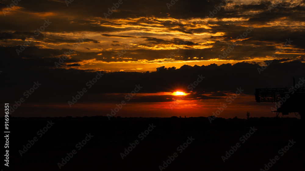 Fototapeta premium Orange Hope