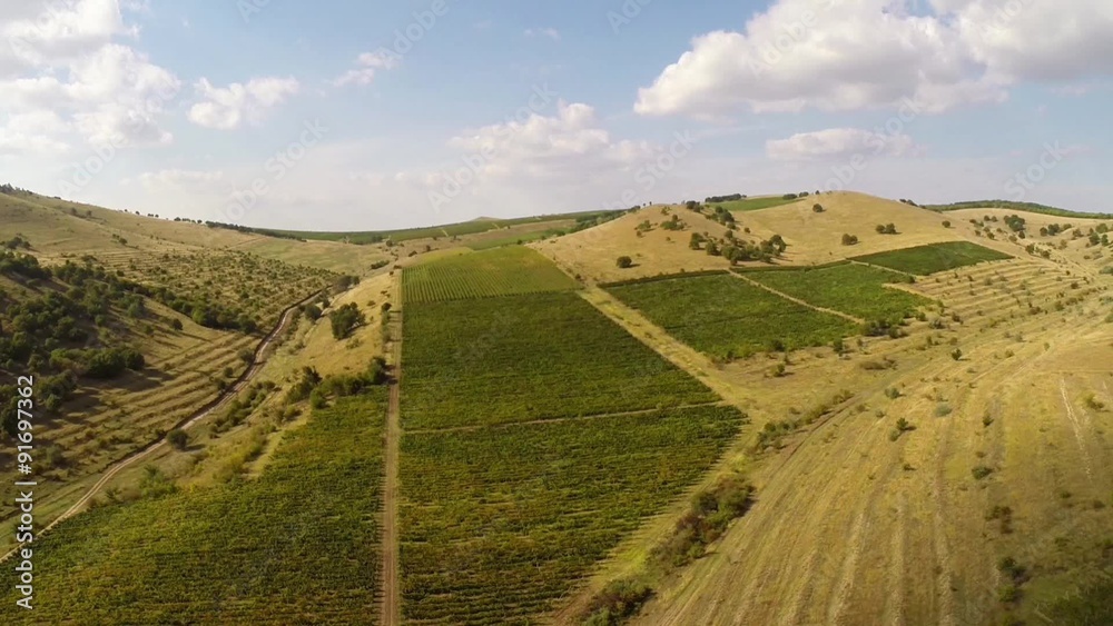 Beautiful mountain valley with vineyards, aerial view Beautiful mountain valley with vineyards, aerial view