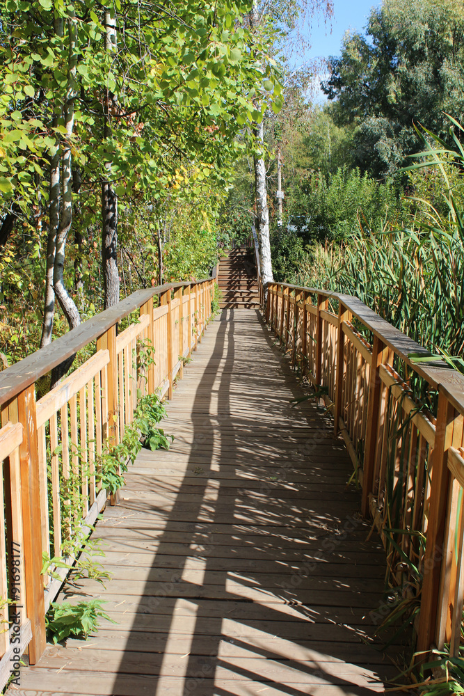 Fototapeta premium Wooden bridge in a Park in autumn