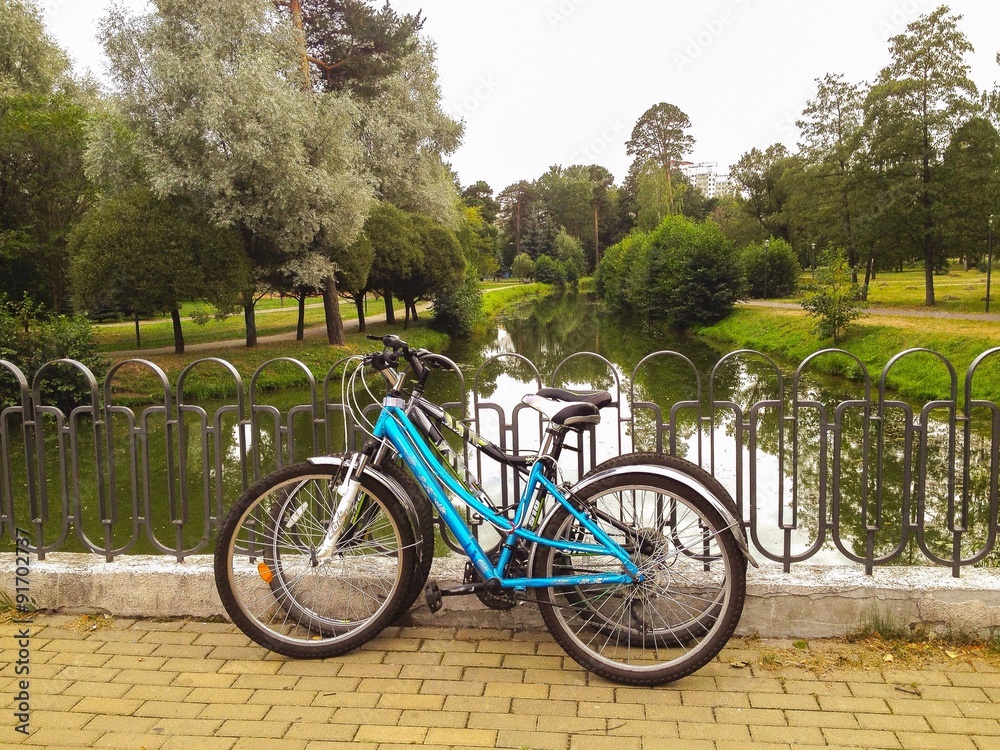 two bicycles on a bridge in a park