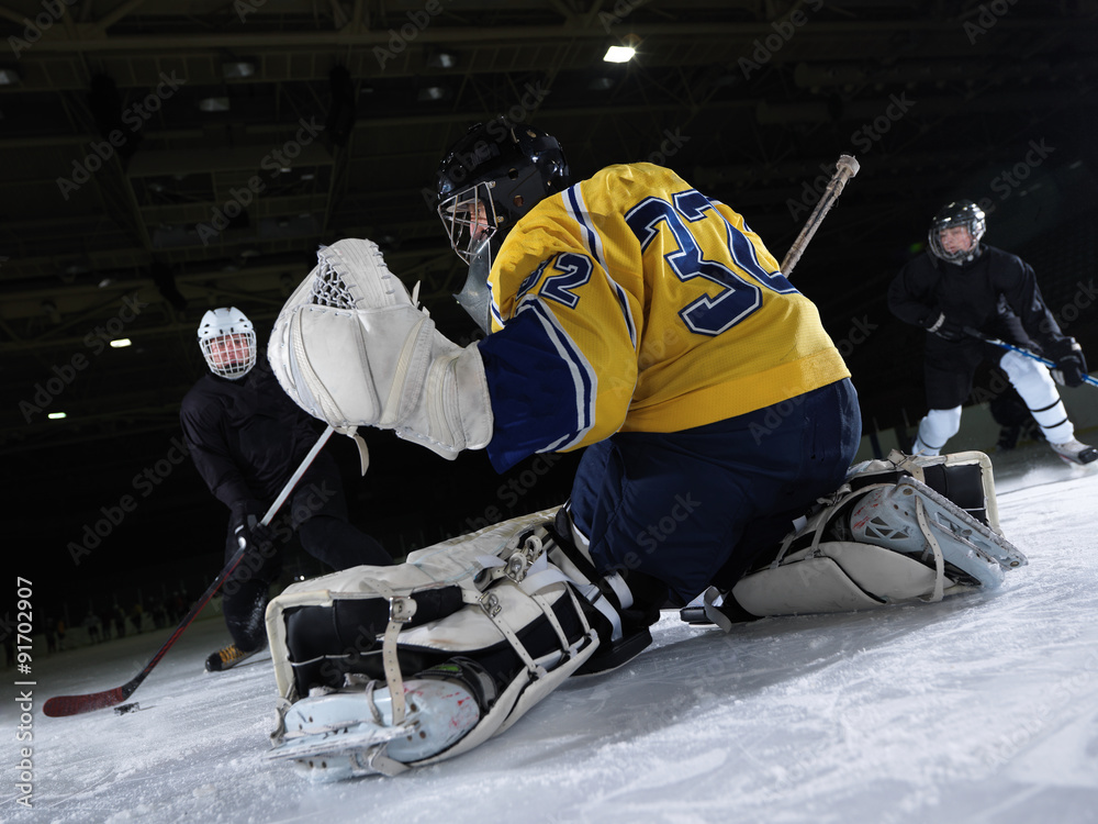 Naklejka premium ice hockey goalkeeper
