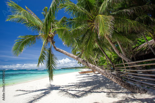 Tropical beach with coconut palm tree, white sand and turquoise photo