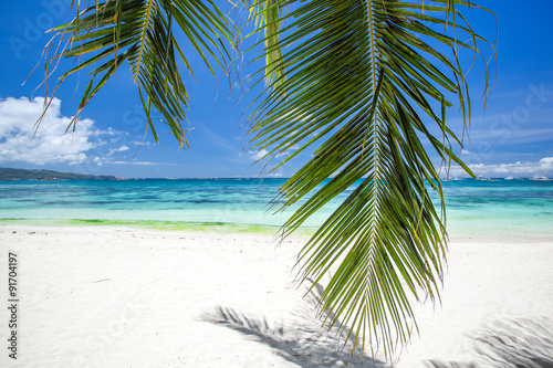 Tropical beach with coconut palm tree leafs, white sand and turq © photopixel