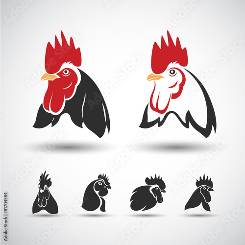 Chicken head