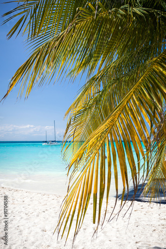 Tropical white sand beach with coconut palm trees. © photopixel